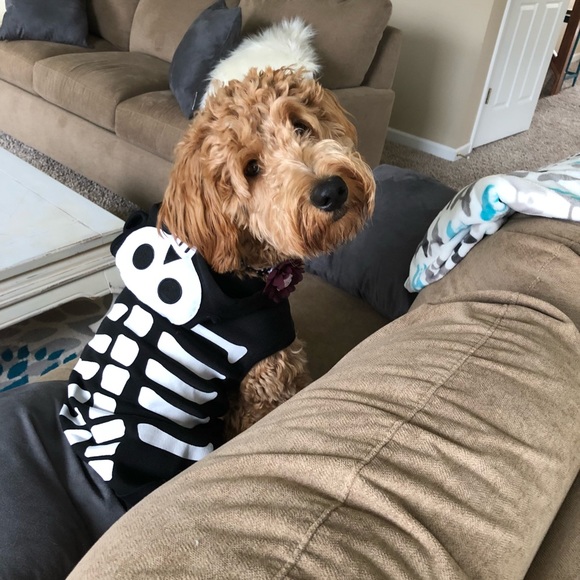 *[welcome]* - Picture 7 of 8